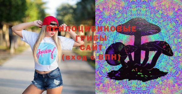 МДПВ Алзамай