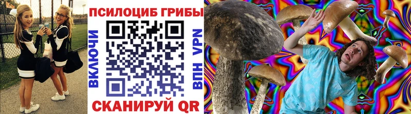 где продают наркотики мега сайт Галлюциногенные грибы Cubensis Гаврилов Посад